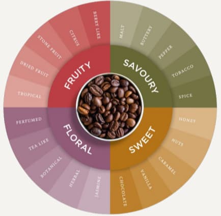 Coffee Taste Chart